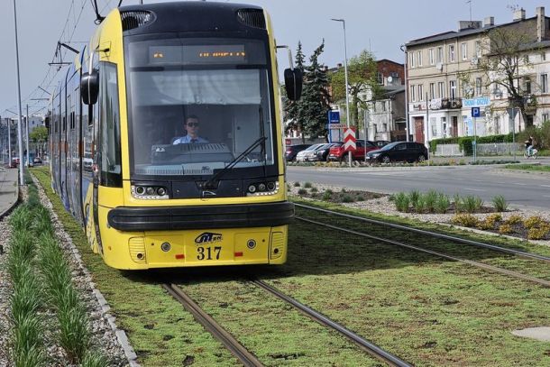 żółty tramwaj marki PESA na zielonym torowisku