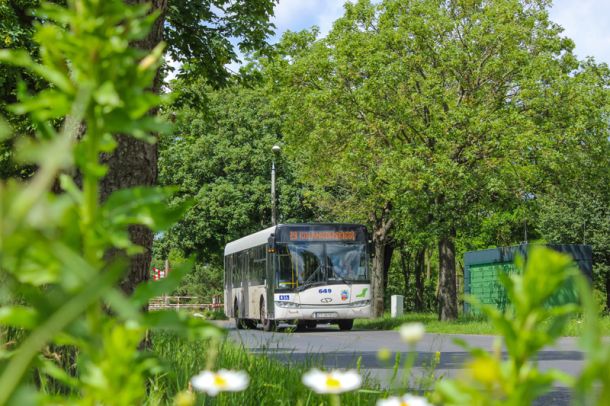 Autobus linii nr 29