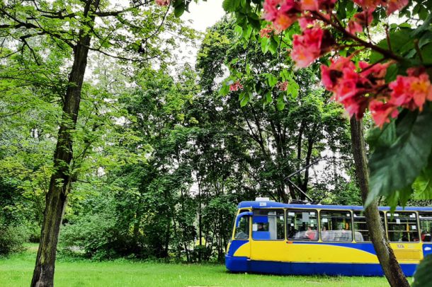 Żółto-niebieski tramwaj na zielonym torowisku