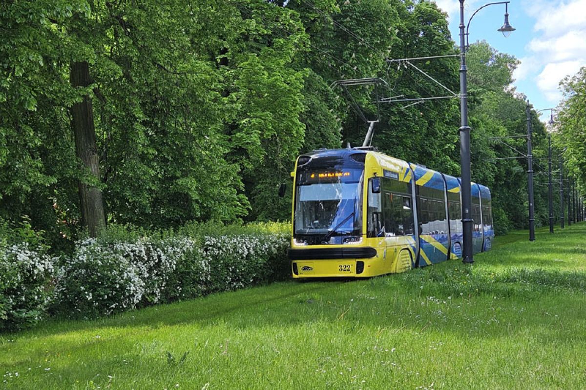 Żółto-niebieski tramwaj na zielonym torowisku